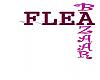 flea-bazaar-logo_fb.jpg