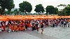 PA260249_compressed