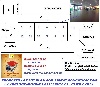 Great-Educational-Fair-E-Hub-D