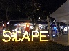 Scape-432