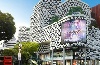 bugis